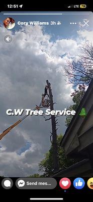 CWS Construction And Tree Service