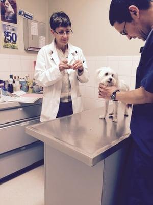 Broad River Animal Hospital