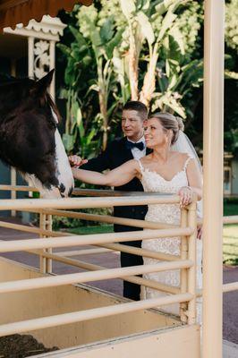 Winner Circle Events