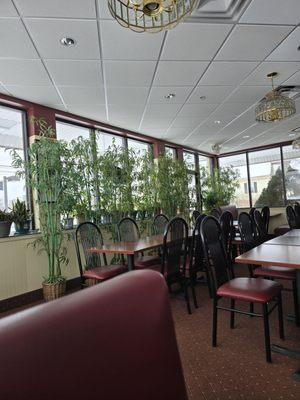 Plenty of bamboo. Diy chopsticks?