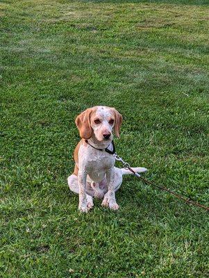 M McDonnell Enterprise