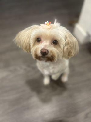 Ella and her fresh cut