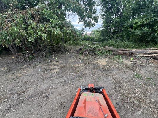 Oje Lawn & Landscape