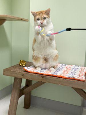 Daily Enrichment Time