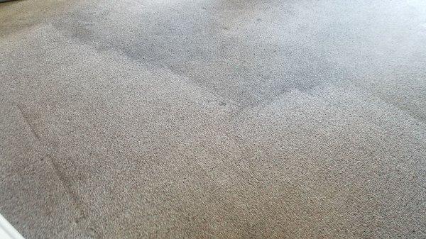 Pantina Pro Carpet Cleaning
