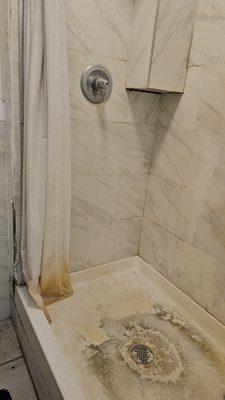 Eidy's house cleaning