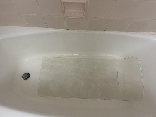 Look how filthy the bathtub is.