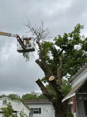 Lake State Landscaping & Snow Removal