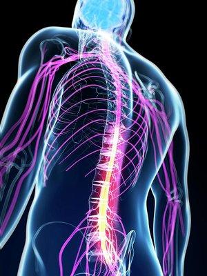 Hands for Health Chiropractic