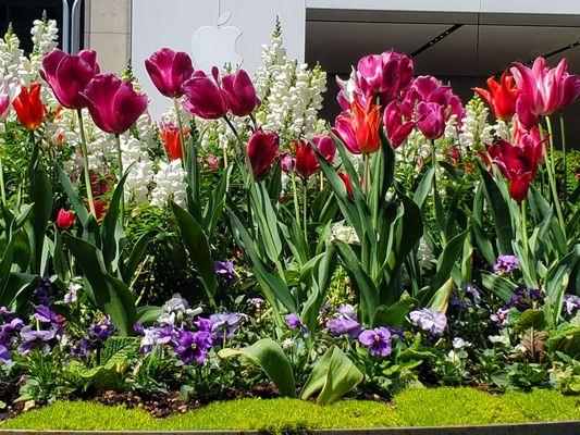 Hillsdale Shopping Center