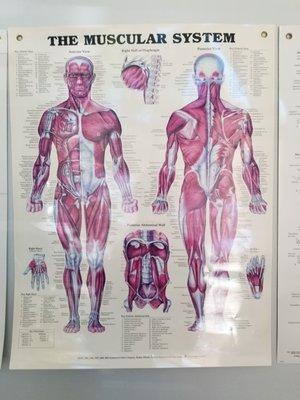 Lifestyle Motivators