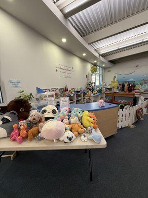 Hawaii Children's Discovery Center