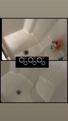 Thee Cleaning Chicks