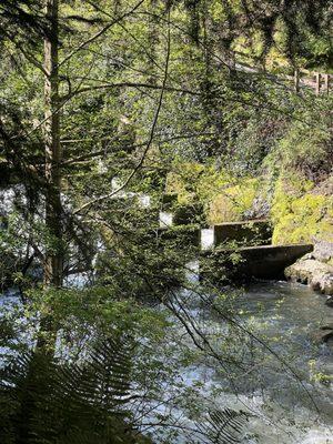 Salmon ladder from the other side of the river