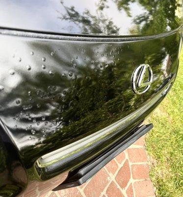 The Auto Body Experience