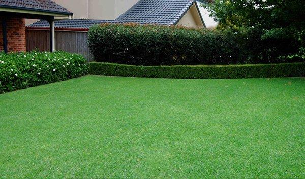 Pro Lawn Turf Services