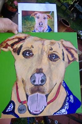 Faith Newkirk's Pet Portraits