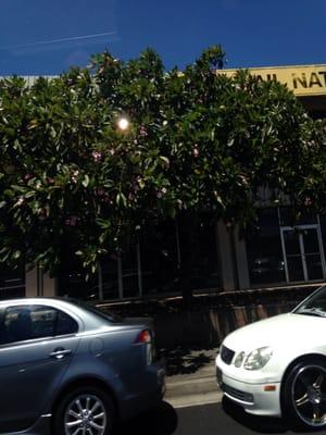 Hawaii National Bank - Airport Branch