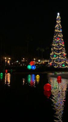 Hollywood Studios Walt Disney World
Christmas Season