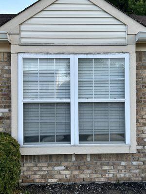 Hawaiian Window Washing