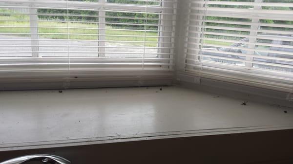 Williams Family Cleaning Services