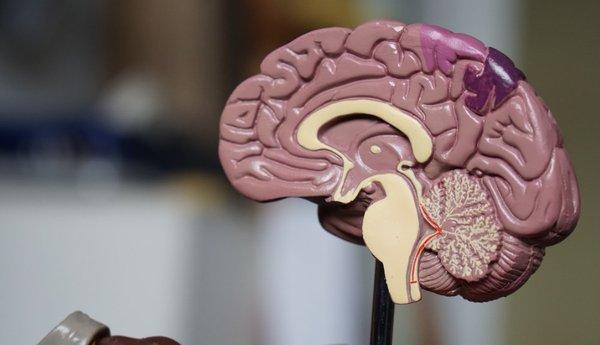 Auto Accident Pain Relief Center