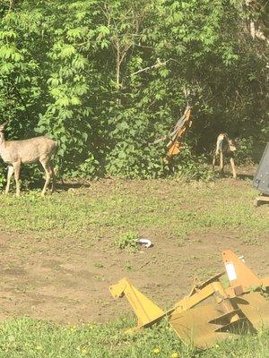 Alpine RV Park and Campground