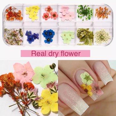 Fall Season Nails Arts