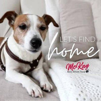 McKay Real Estate Team