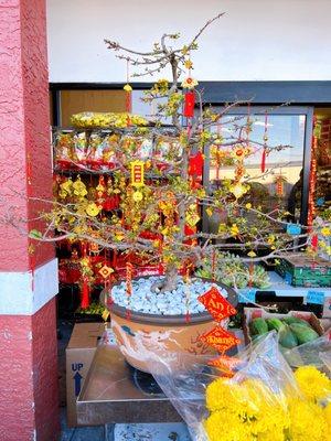 Lien Hoa Oriental Market