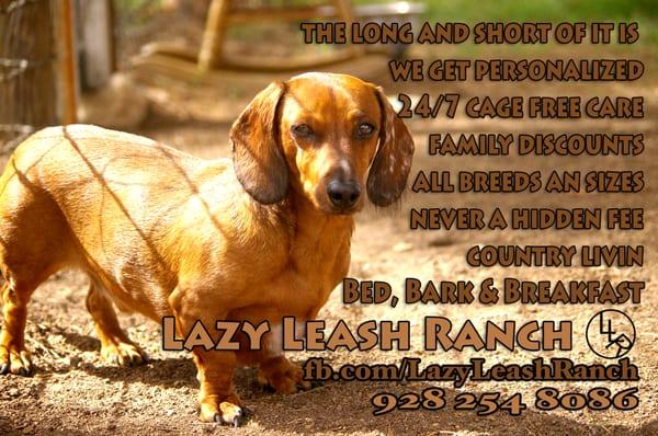 Lazy Leash Ranch