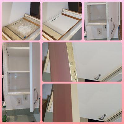 Graceful Cleaning of Central Florida