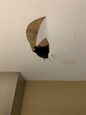 Ceiling collapse due to defective plumbing work.