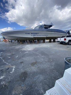 The Beast in for some love..