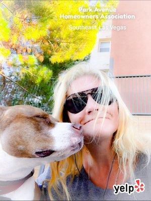 Park Avenue Homeowners Association