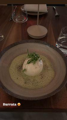 Terravita - Downtown