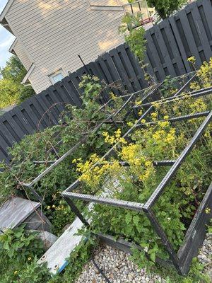 GTZ Landscape and Construction