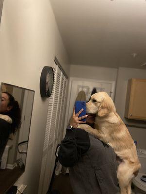 City View at the Highlands