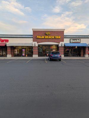 Palm Beach Tan