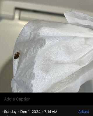 La Quinta Inn & Suites by Wyndham Austin Near the Domain