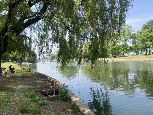Lincoln Park South Lagoon