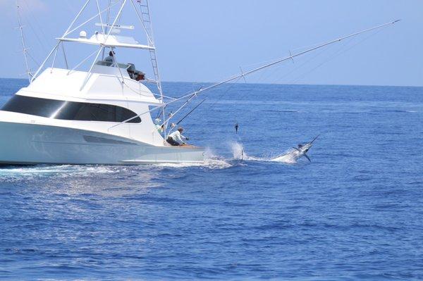Charter Desk At Honokohau Marina