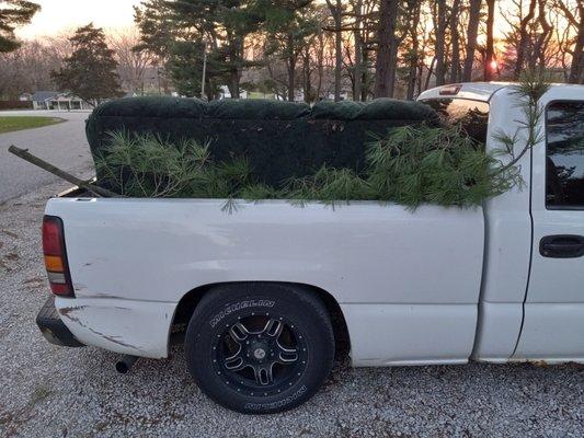 King Panda's Multiservice