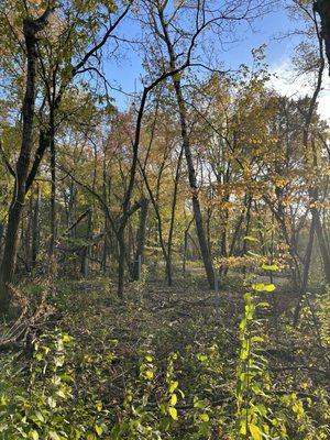 Bredesen Park