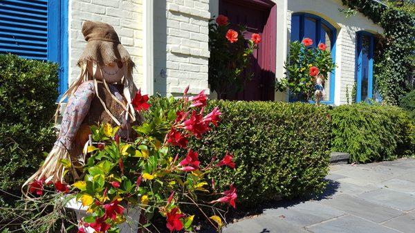 The Woodmere Florist Ltd