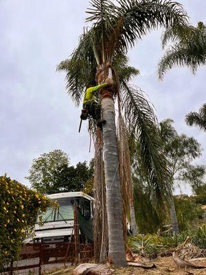 Bilbao Lawn Services