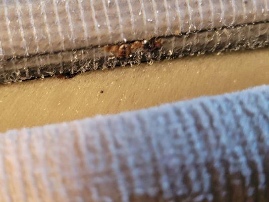 Goodwin Cleaning And Pest Control