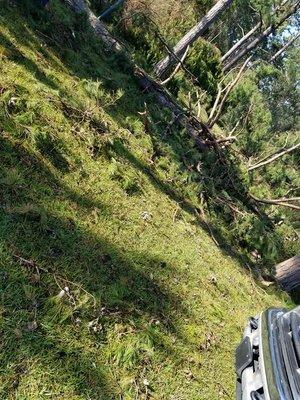 Martinez Landscaping Services