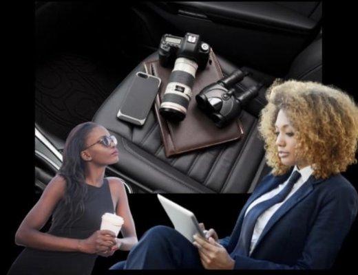 Stacie M. Ellis Private Investigation