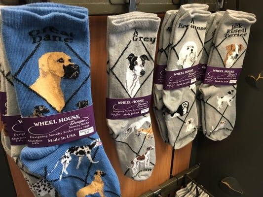 Dog Days of Cape May